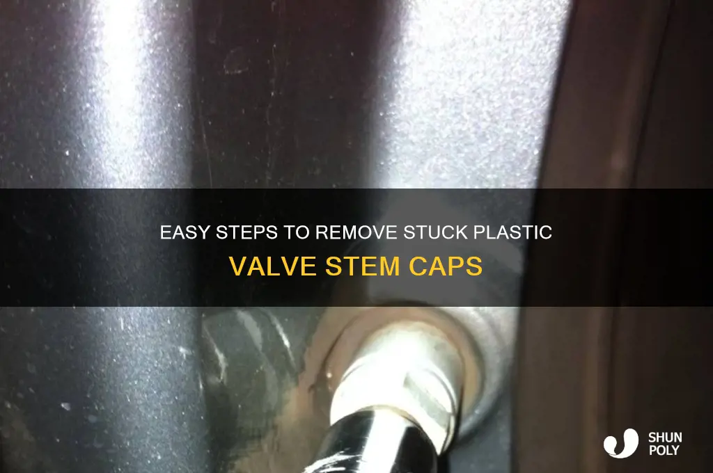 how to get plastic valve stem cap off