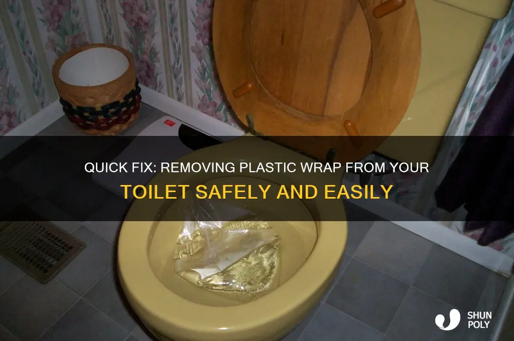 how to get plastic wrappee out of toilet