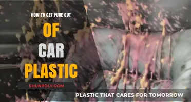 Effective Tips for Removing Vomit Stains from Car Plastic Surfaces