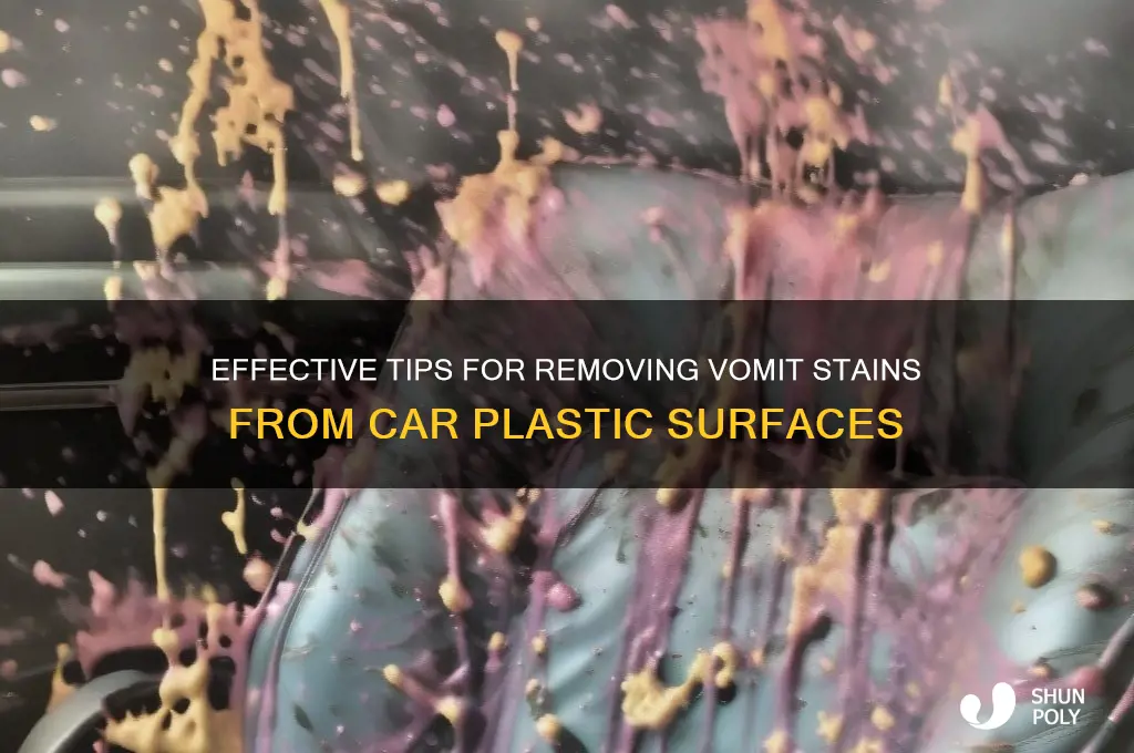 how to get puke out of car plastic