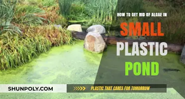 Effective Ways to Eliminate Algae in Your Small Plastic Pond