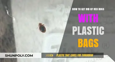 Effective Bed Bug Elimination: Using Plastic Bags to Eradicate Infestations