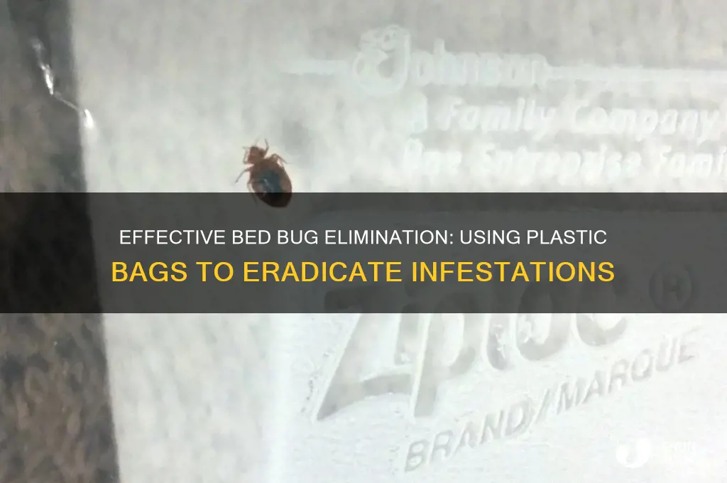 how to get rid of bed bugs with plastic bags