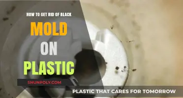 Effective Ways to Remove Black Mold from Plastic Surfaces