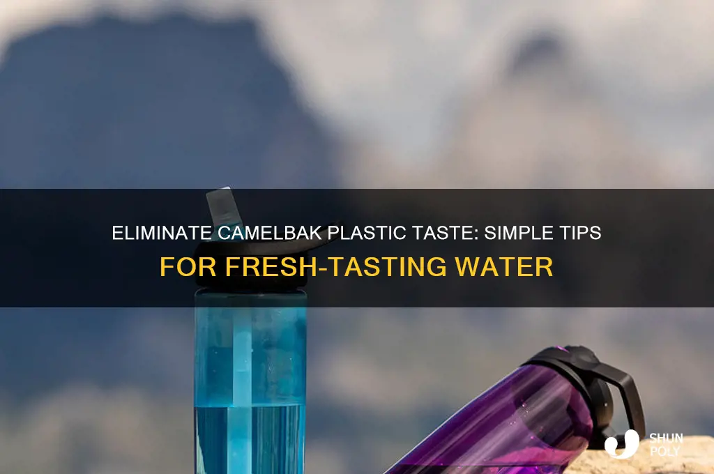 how to get rid of camelbak plastic taste