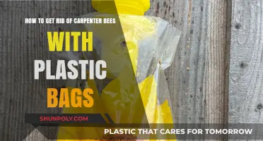 Effective Plastic Bag Method to Eliminate Carpenter Bees Safely