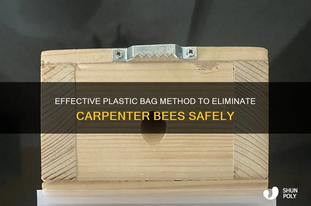 how to get rid of carpenter bees with plastic bags