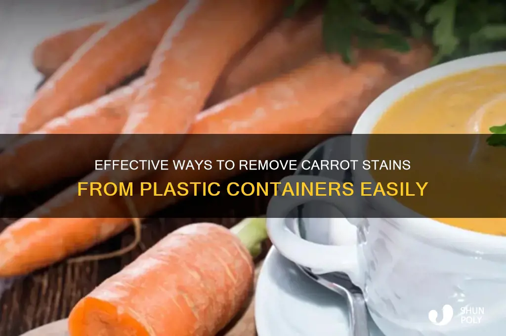 how to get rid of carrot stains from plastic