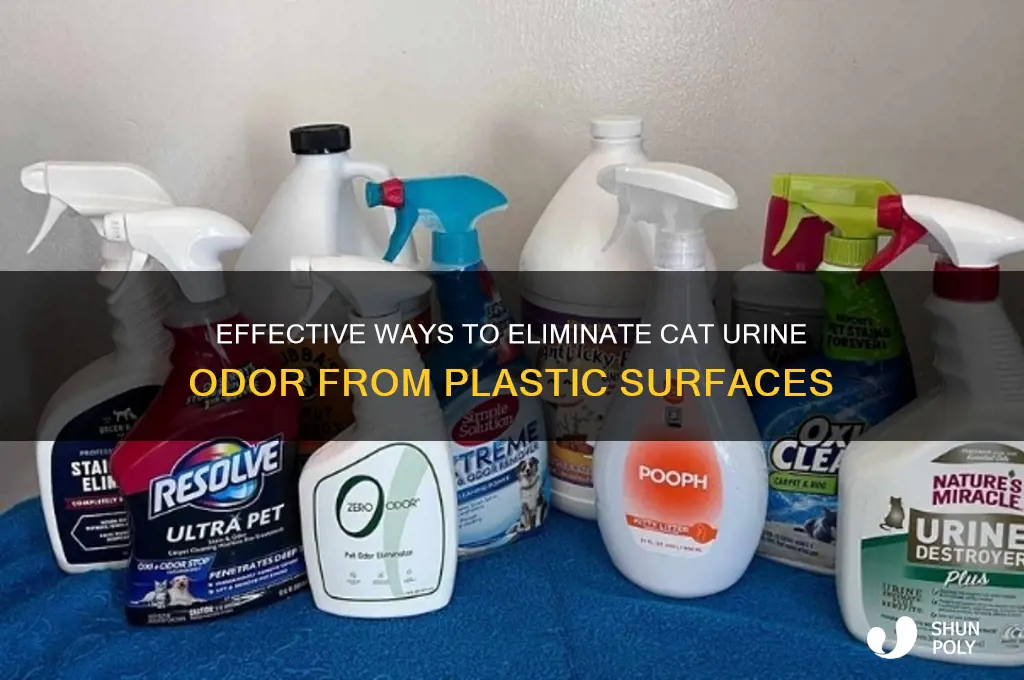how to get rid of cat pee smell on plastic