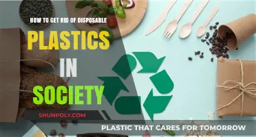 Eliminating Disposable Plastics: Sustainable Solutions for a Greener Society