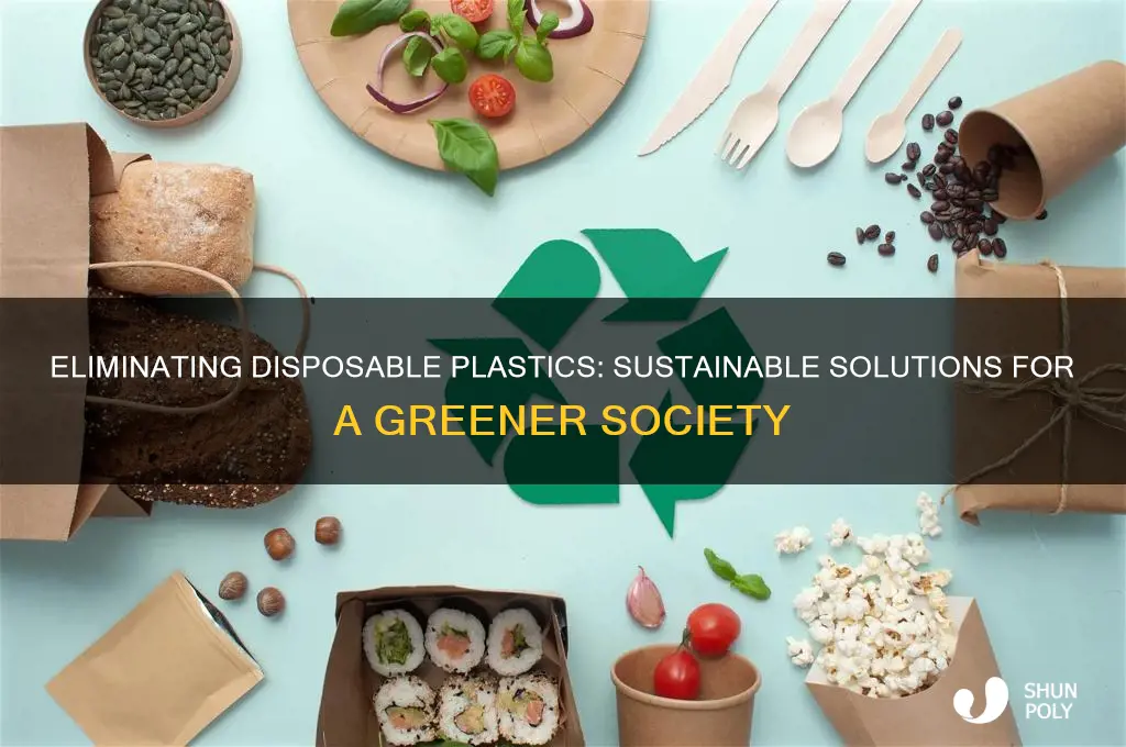 how to get rid of disposable plastics in society
