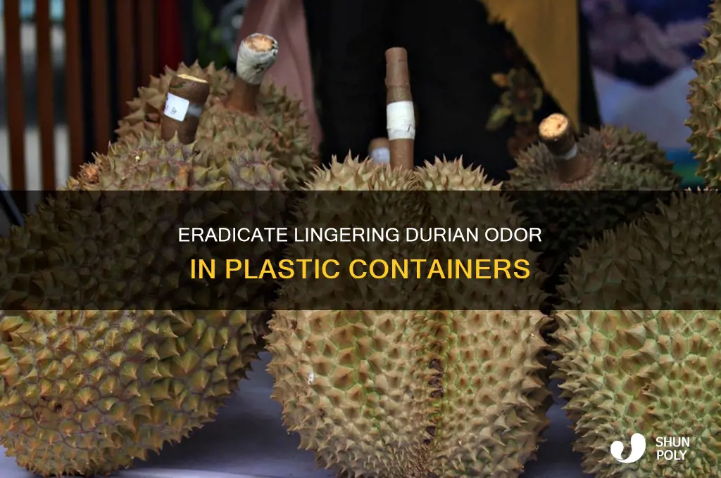 how to get rid of durian smell in plastic container