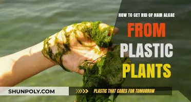 Effective Ways to Remove Hair Algae from Plastic Aquarium Plants