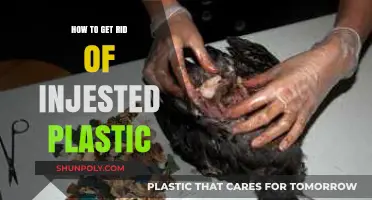 Effective Ways to Eliminate Ingested Plastic from Your Body Safely