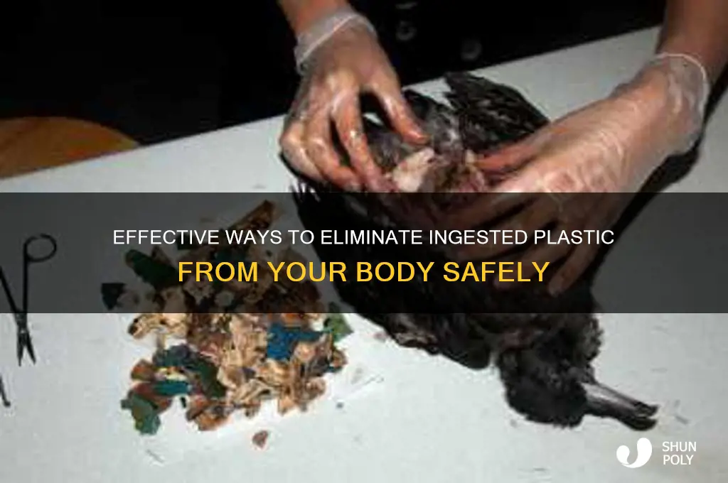 how to get rid of injested plastic