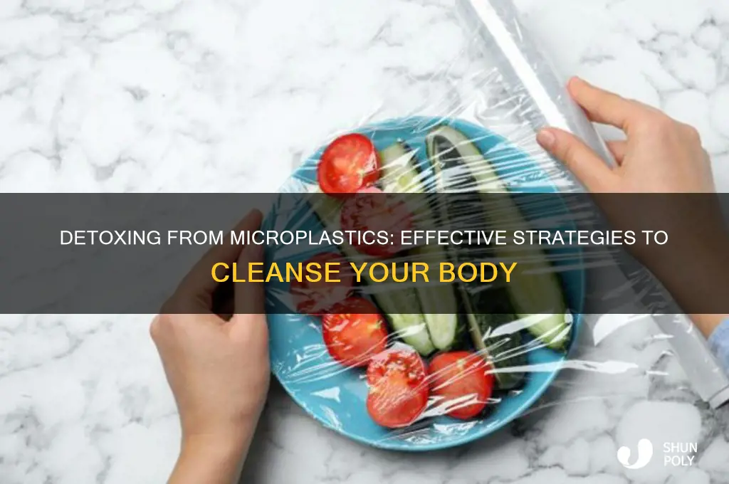 how to get rid of micro plastics in body