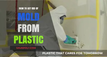 Effective Ways to Remove Mold from Plastic Surfaces Safely