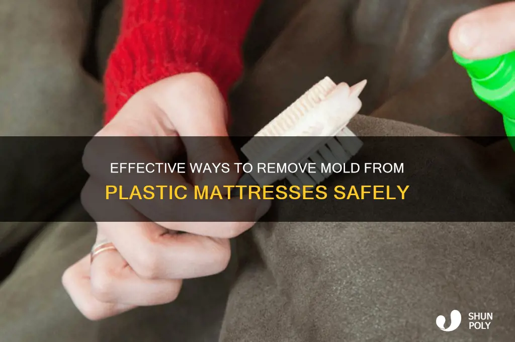 how to get rid of mold on plastic mattress