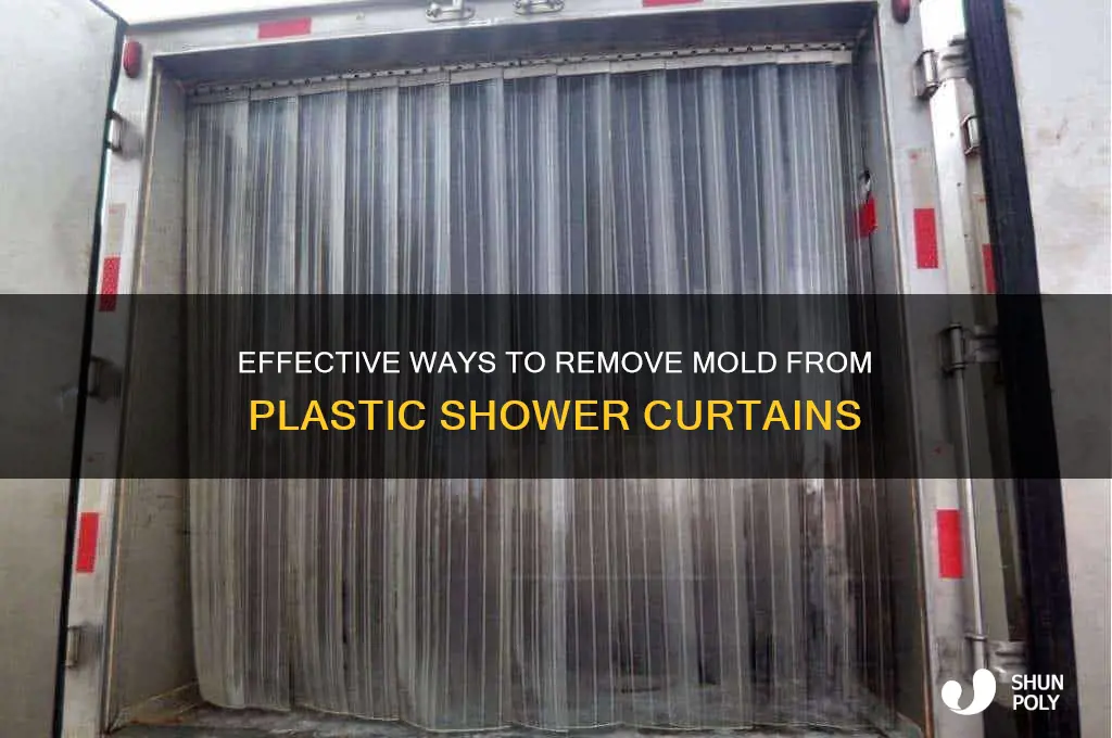 how to get rid of mold on plastic shower curtain