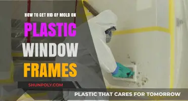 Effective Ways to Remove Mold from Plastic Window Frames