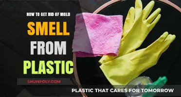 Eliminate Mold Odor: Effective Ways to Freshen Plastic Items Fast