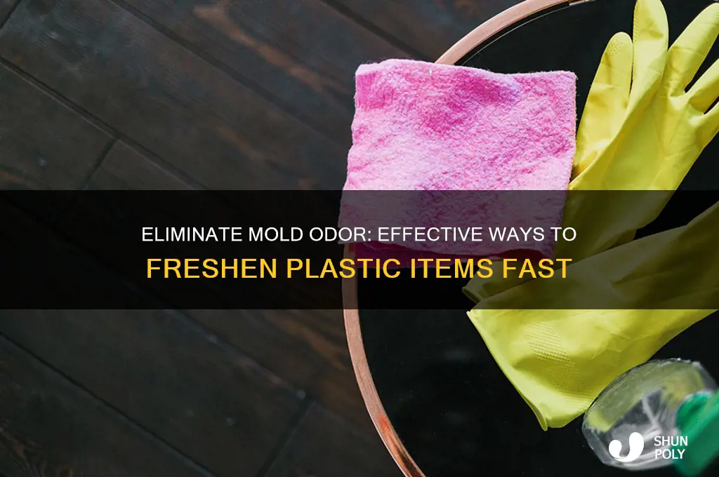 how to get rid of mold smell from plastic