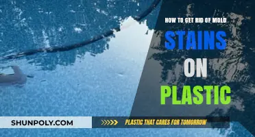 Effective Methods to Remove Mold Stains from Plastic Surfaces