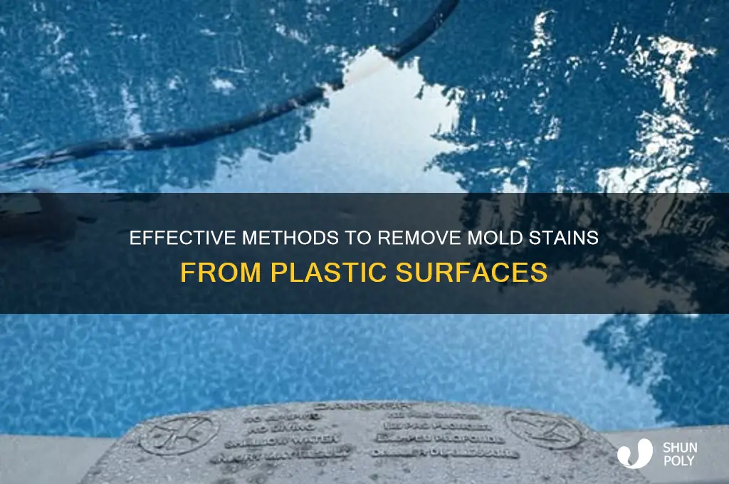 how to get rid of mold stains on plastic