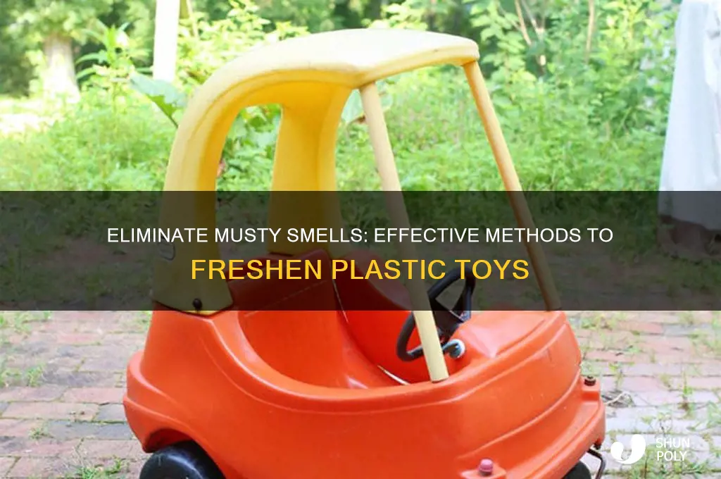 how to get rid of musty smell from plastic toys