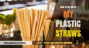 Eco-Friendly Alternatives: Ditch Plastic Straws for a Greener Lifestyle