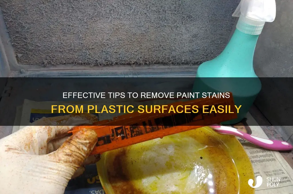 how to get rid of paint stains on plastic