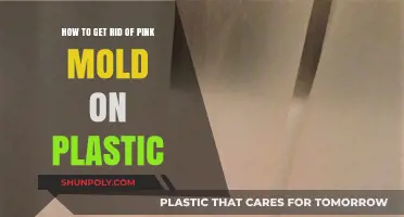 Effective Ways to Eliminate Pink Mold from Plastic Surfaces
