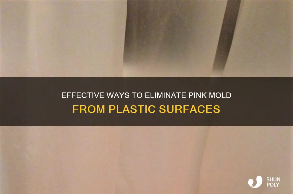 how to get rid of pink mold on plastic