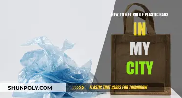 Eco-Friendly Solutions: Eliminating Plastic Bags in Your City Effectively