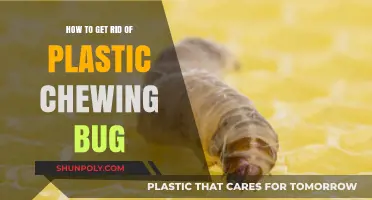 Effective Ways to Eliminate Plastic-Chewing Bugs from Your Home