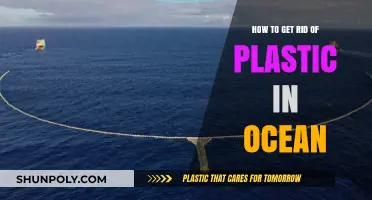 Tackling Ocean Plastic: Effective Strategies to Clean Our Seas