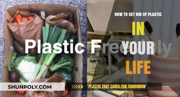 Ditch Plastic Forever: Practical Steps for a Sustainable Lifestyle