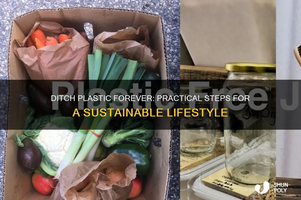 how to get rid of plastic in your life