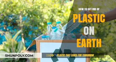 Sustainable Solutions: Eliminating Plastic Waste for a Greener Earth