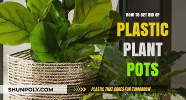 Eco-Friendly Ways to Dispose and Reuse Plastic Plant Pots