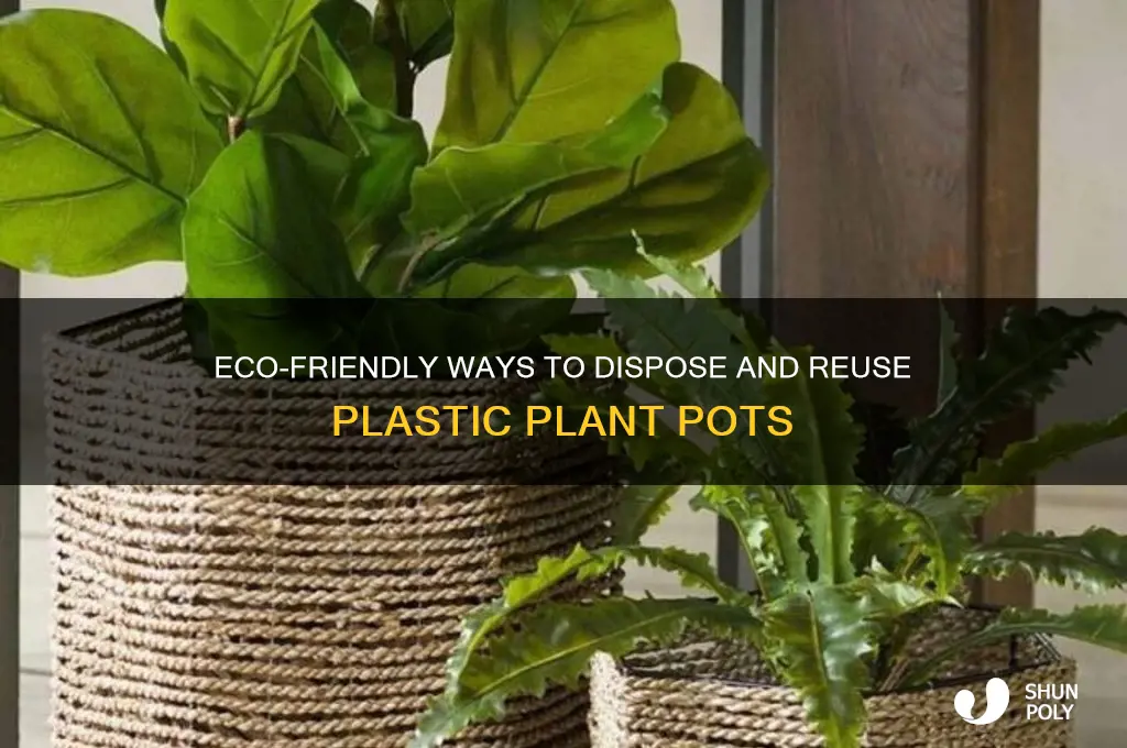 how to get rid of plastic plant pots
