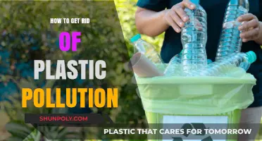 Effective Strategies to Eliminate Plastic Pollution and Save Our Planet