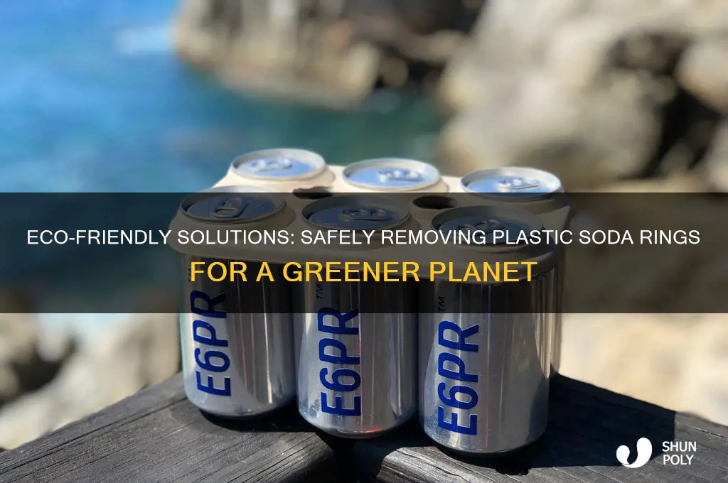 how to get rid of plastic soda rings safely