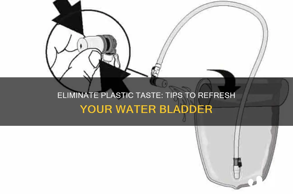 how to get rid of plastic taste from water bladder