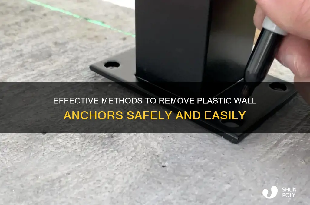 how to get rid of plastic wall anchors