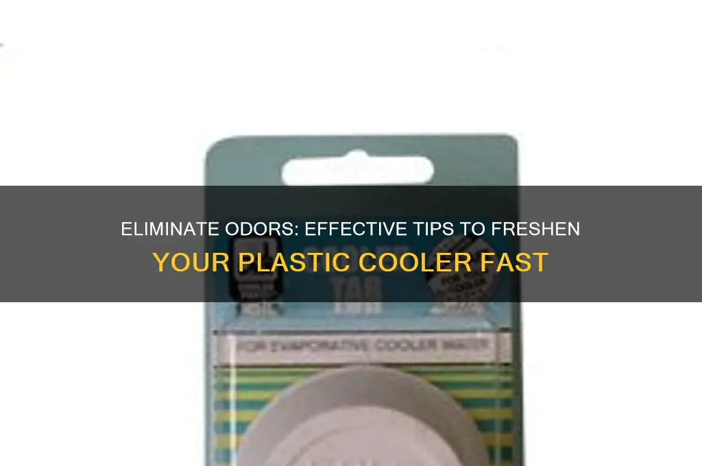 how to get rid of smell in plastic cooler