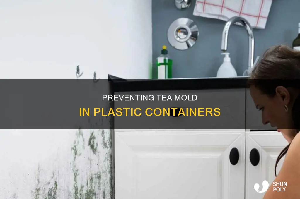 how to get rid of tea mold in plastic containers