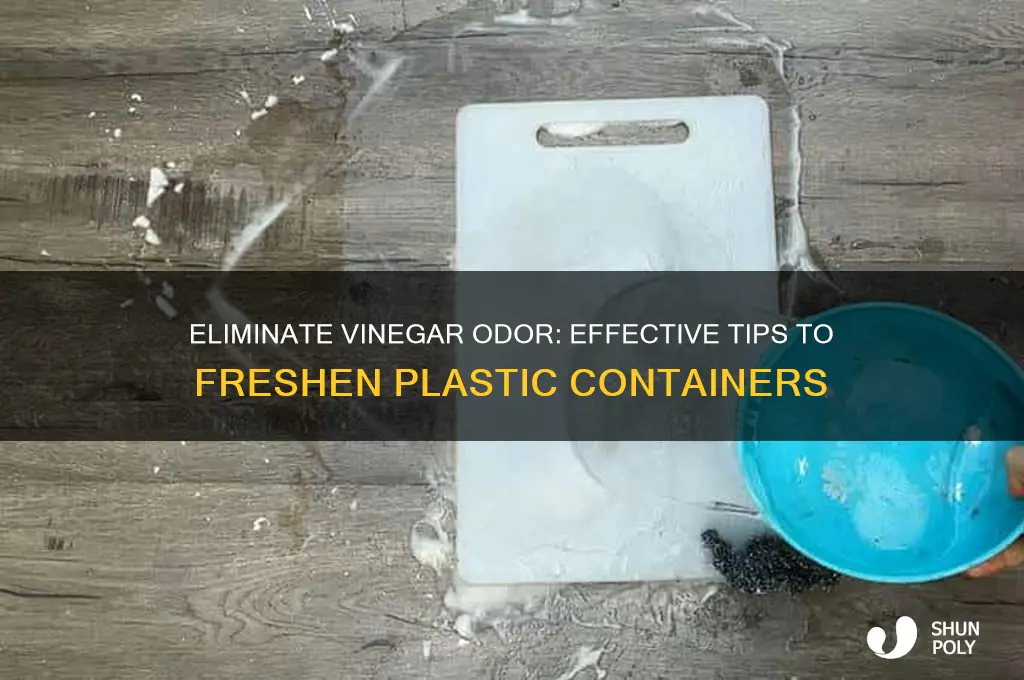 how to get rid of vinegar smell in plastic