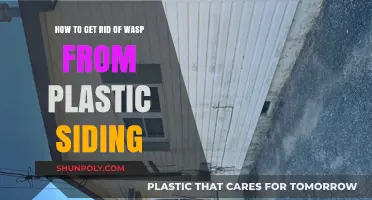 Effective Ways to Remove Wasps from Plastic Siding Safely