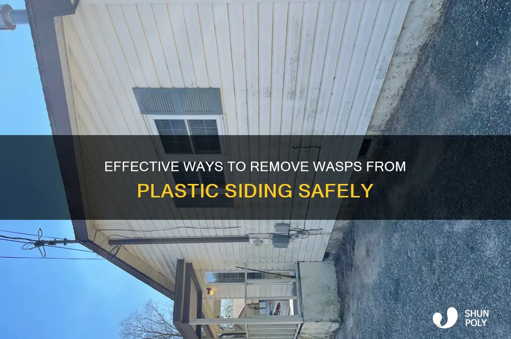 how to get rid of wasp from plastic siding